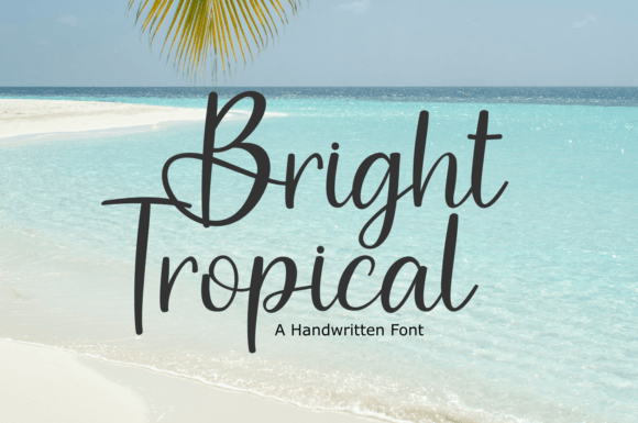 Bright Tropical Font - Featured Image