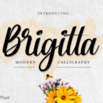 Brigitta Font - Featured Image