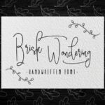 Brisk Wondering Font - Featured Image