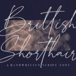 Brittish Shorthair Font - Featured Image