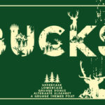 Bucks Font - Featured Image