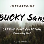 Bucky Font - Featured Image