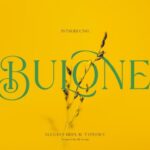 Bulone Font - Featured Image