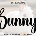 Bunny Font - Featured Image