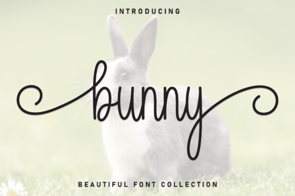 Bunny Font - Featured Image