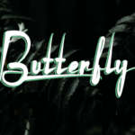 Butterfly Font - Featured Image