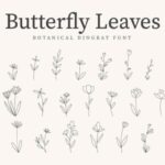 Butterfly Leaves Font - Featured Image