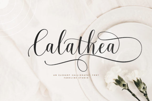 Calathea Font - Featured Image