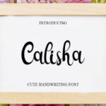 Calisha Font - Featured Image