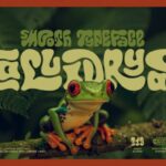 Callidryas Font - Featured Image