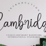 Cambridge Font - Featured Image