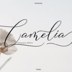 Camelia Font - Featured Image