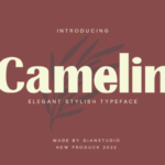 Camelin Font - Featured Image