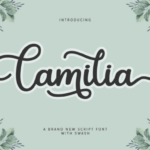 Camilia Font - Featured Image
