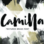 Camilla Font - Featured Image