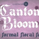 Canton Bloom Family Font - Featured Image
