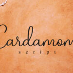 Cardamom Script Font - Featured Image
