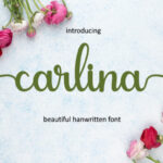 Carlina Font - Featured Image