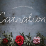 Carnation Font - Featured Image
