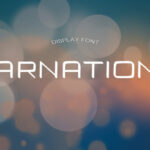 Carnations Font - Featured Image