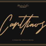 Carttinos Font - Featured Image