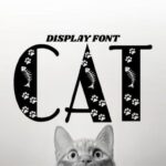 Cat Font - Featured Image