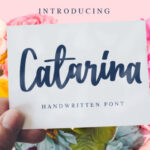 Catarina Font - Featured Image