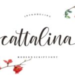 Cattalina Font - Featured Image