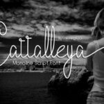 Cattalleya Font - Featured Image