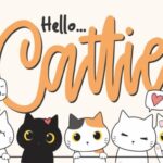 Cattie Font - Featured Image