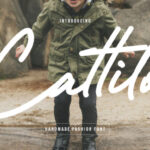 Cattilo Font - Featured Image