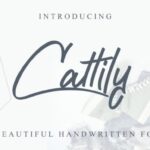 Cattily Font - Featured Image