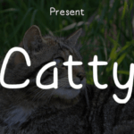 Catty Font - Featured Image