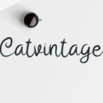 Catvintage Font - Featured Image
