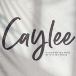 Caylee Script Font - Featured Image