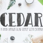 Cedar Font - Featured Image
