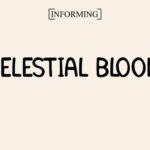 Celestial Bloom Font - Featured Image