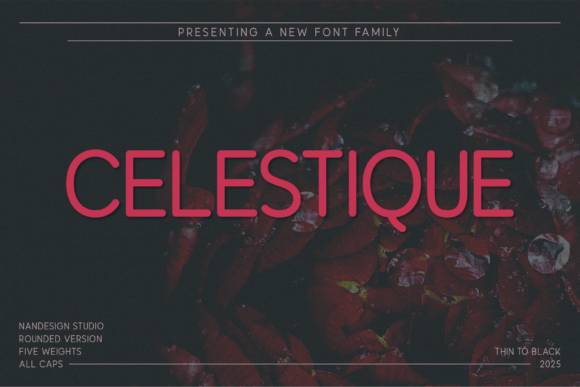 Celestique Rounded Font - Featured Image