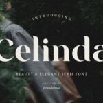 Celinda Font - Featured Image