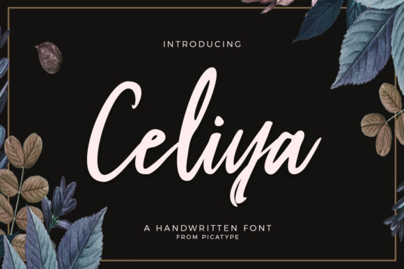 Celiya Script Font - Featured Image