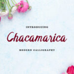 Chacamarica Font - Featured Image
