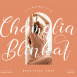 Chamelia Blinkar Font - Featured Image