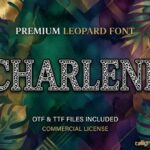 Charlene Font - Featured Image