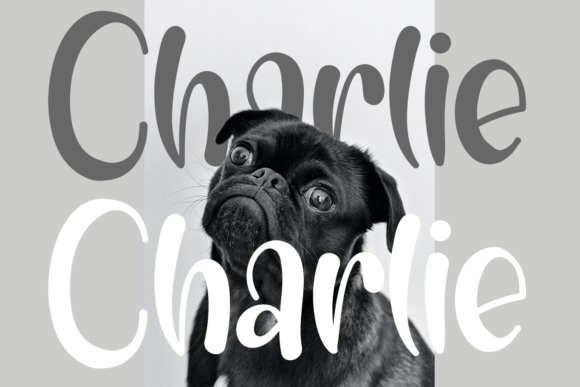 Charlie Font - Featured Image