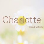 Charlotte Font - Featured Image