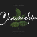 Charmeleon Font - Featured Image