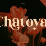 Chatoya Font Font - Featured Image