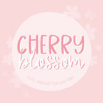 Cherry Blossom Font - Featured Image