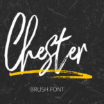 Chester Font - Featured Image