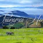 Chiangmai Hostel Font - Featured Image